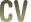 CV
